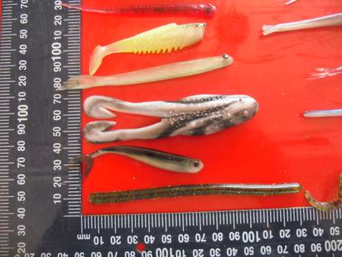 25 PACKETS OF SOFT LURES. FOR BASS AND DROP SHOT FISHING.